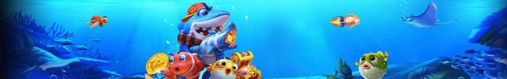 how to play sudoku video
